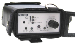 Portable Detection of Carbon Monoxide and other Toxic Gases. 